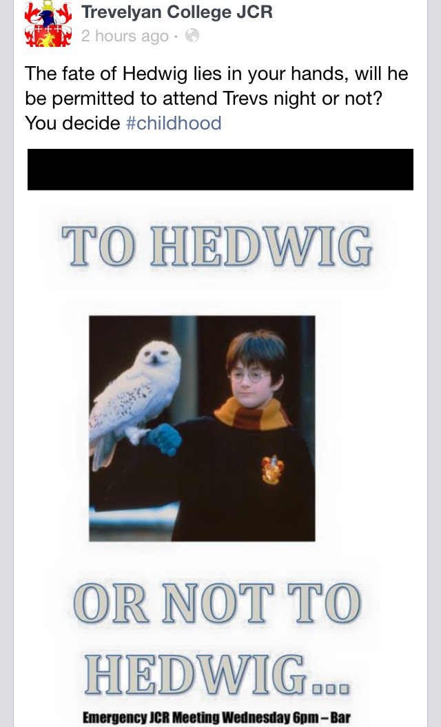 Hedwig