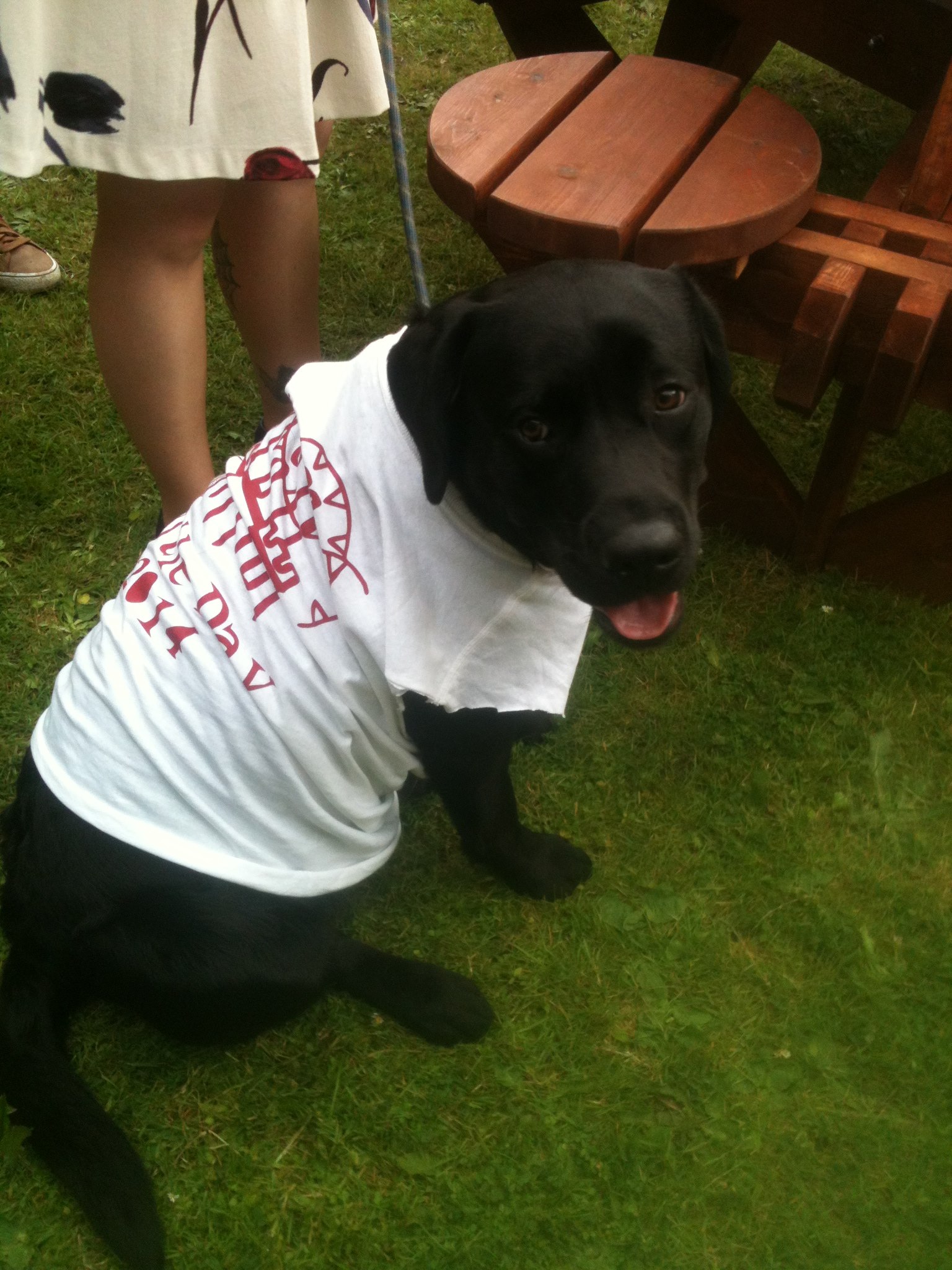 A loyal supporter of Castle Students