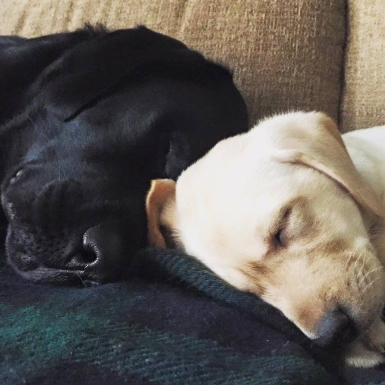 Snuggles