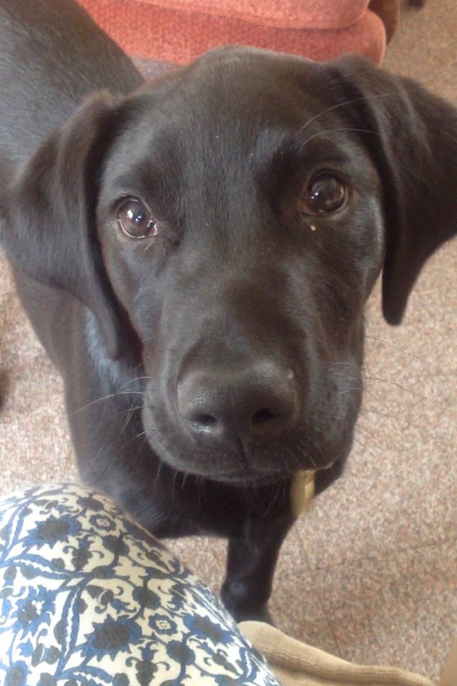 Unconditional love