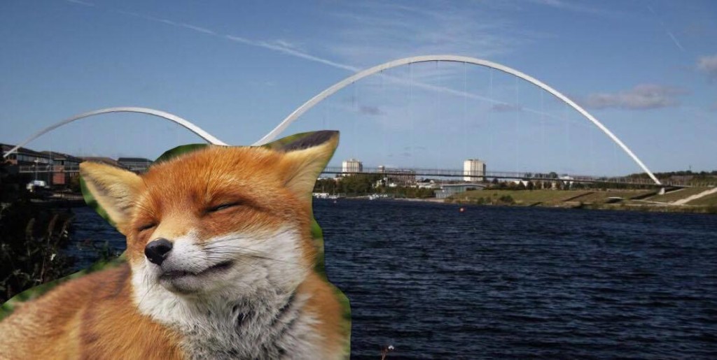 13091589_10209052763147388_1499894849_o