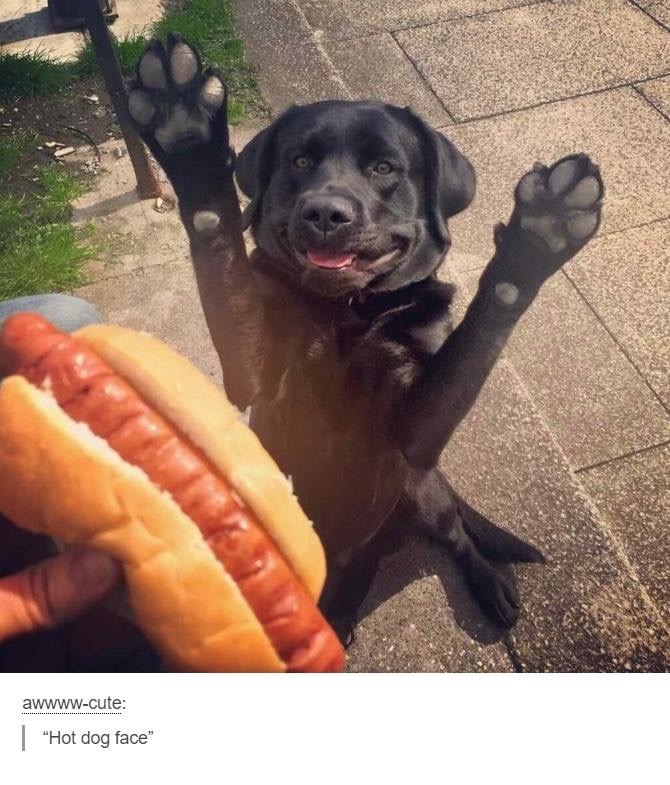 The image that bought him fame