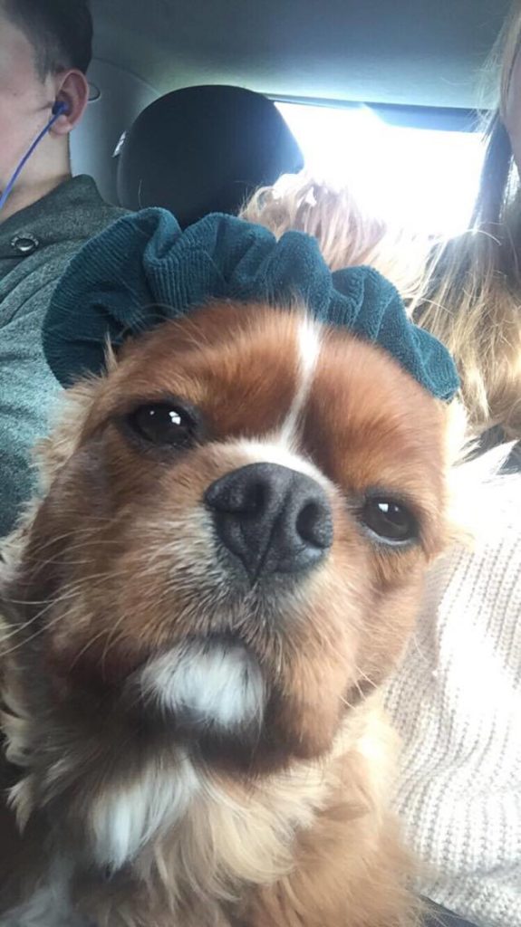 So stylish