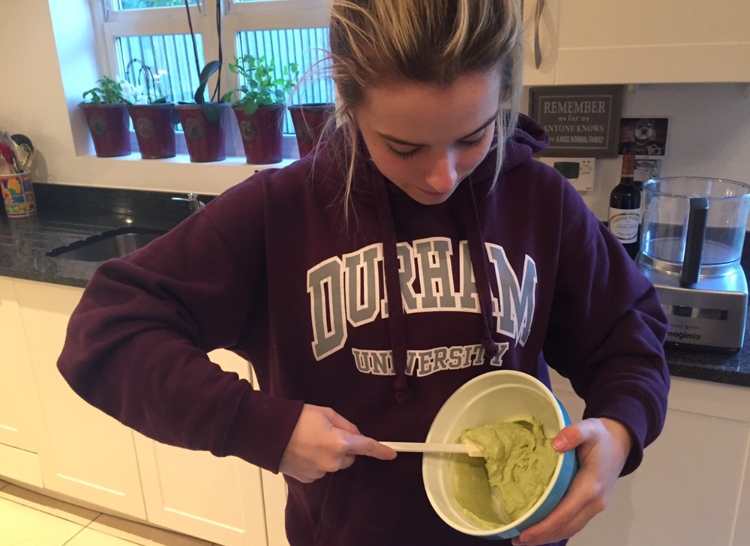 Avocado 11