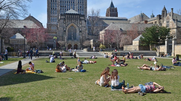 YALE NOW