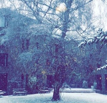 Image may contain: Snow, Outdoors