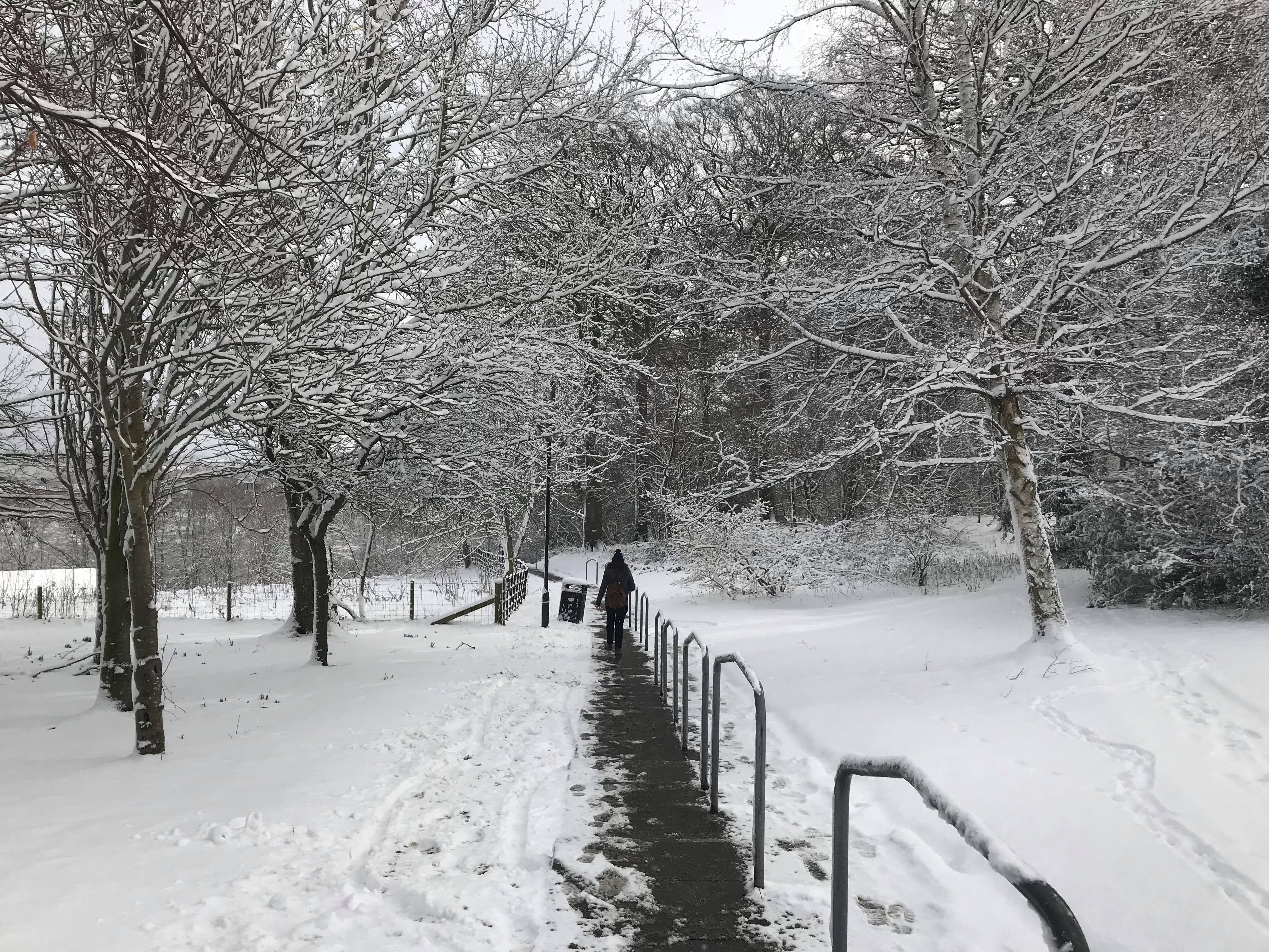 Image may contain: Snow, Outdoors