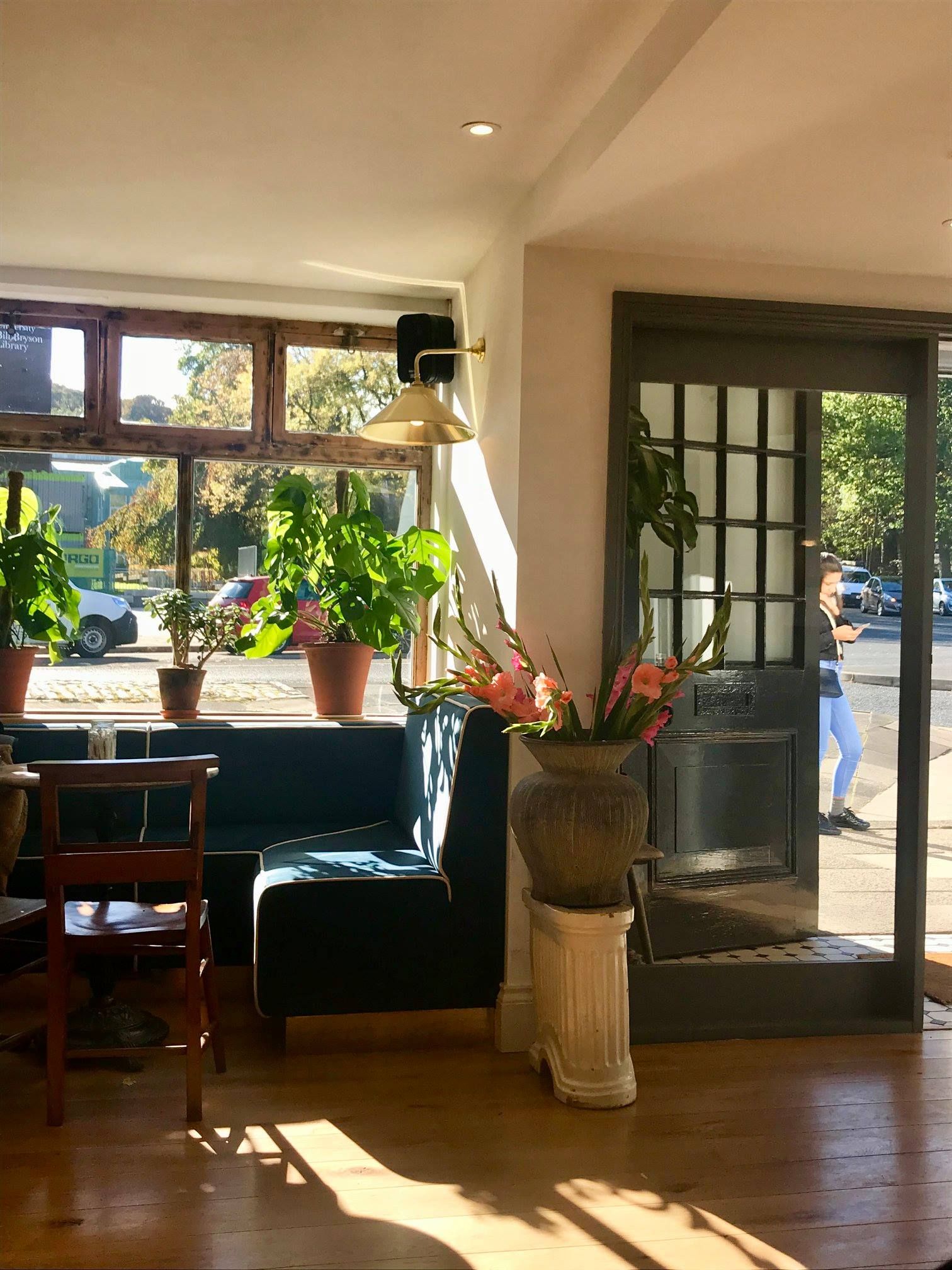 Image may contain: Wood, Hardwood, Room, Interior Design, Indoors, Dining Room, Furniture, Chair, Vase, Pottery, Potted Plant, Plant, Jar, Flora