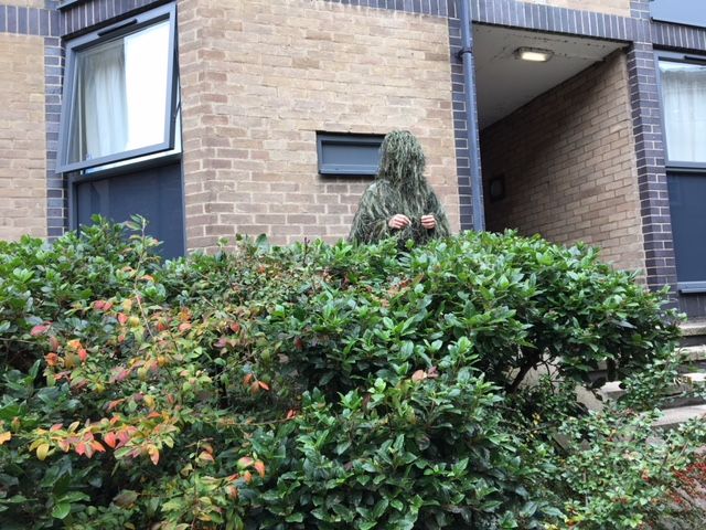 Image may contain: Tree, Hedge, Fence, Outdoors, Nature, Yard, Person, Human, Bush, Vegetation, Plant