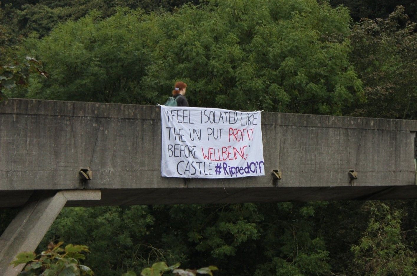 Image may contain: Animal, Bird, Human, Person, Banner, Text