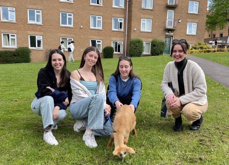 Durham Welfare petting zoo