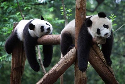 Just chillin'.