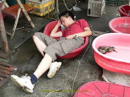 Sleeping Student