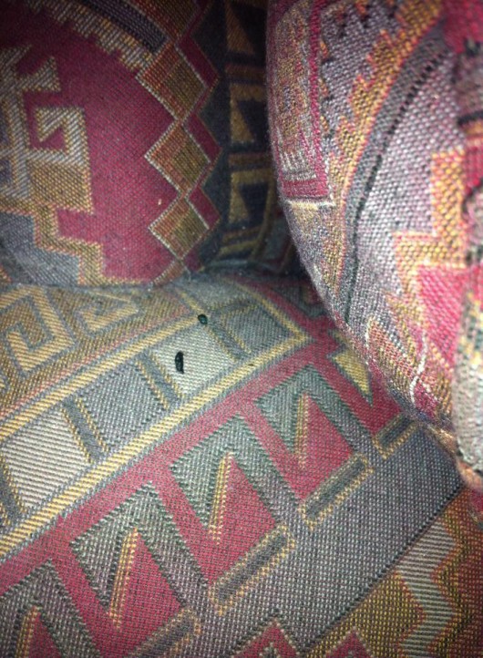 Droppings! Ewwww!