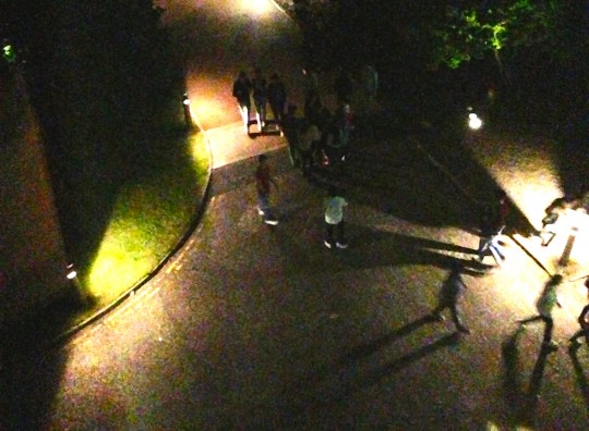 The never ending stream of freshers returning from WhyNot