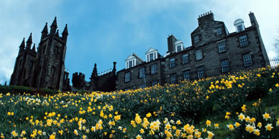 NEW COLLEGE 13