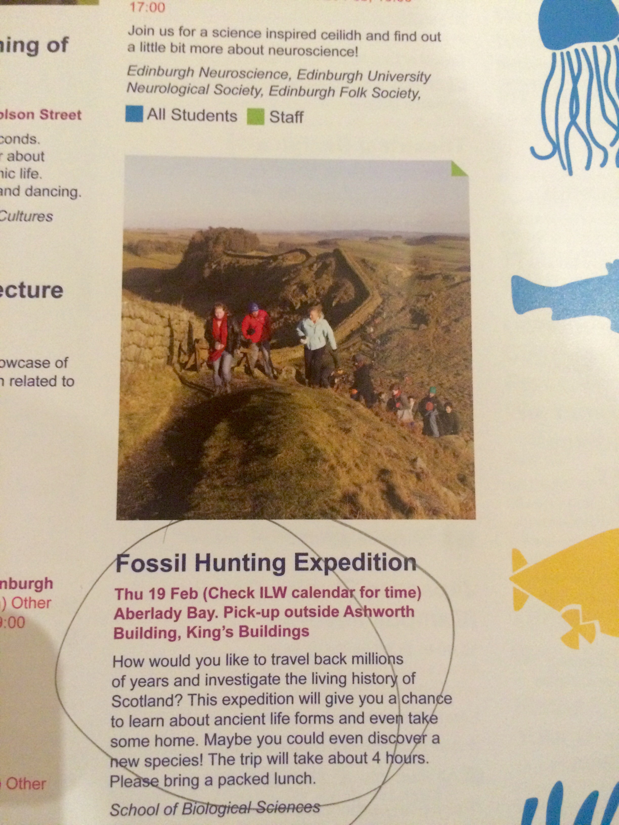 Look at all those..fossils