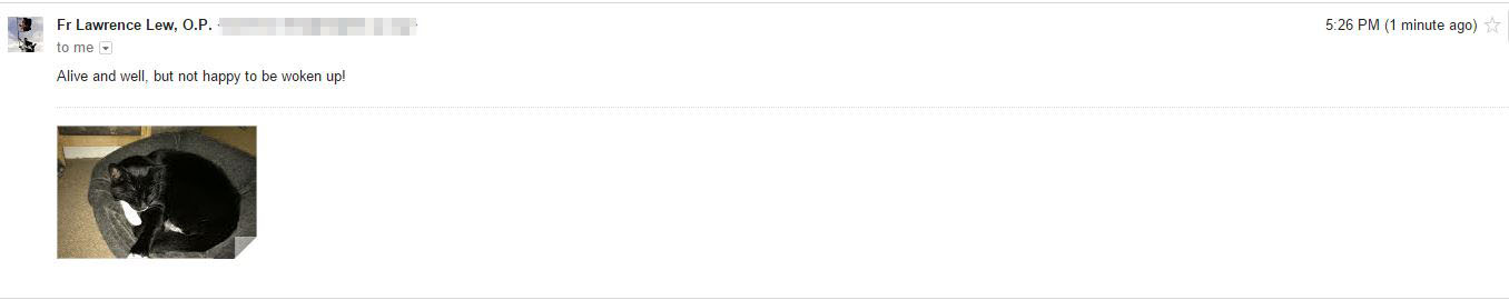 libcatscreenshot