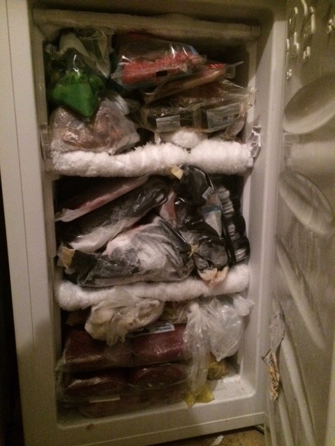 Your fridge isn't this well stocked, is it?