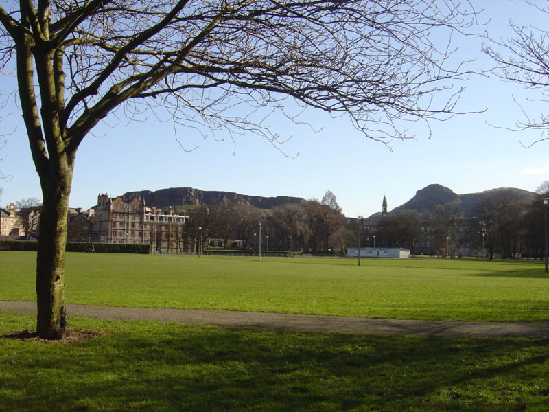 Meadows