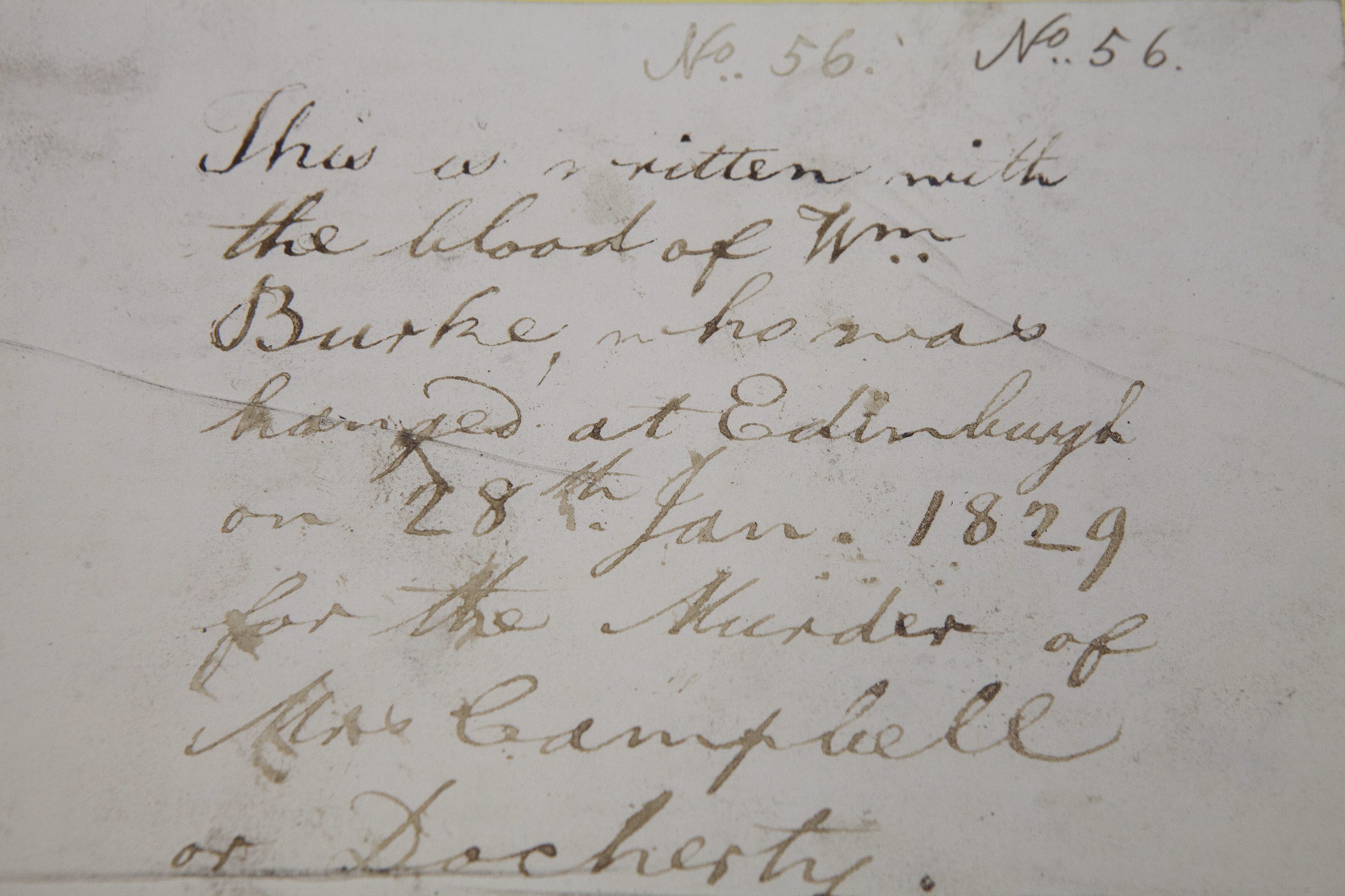 HEMEDIA_BURKE_BLOOD_LETTER_03