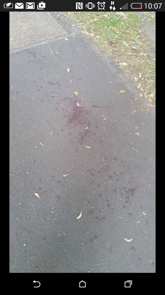 floorblood