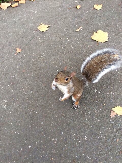 U wot m8?