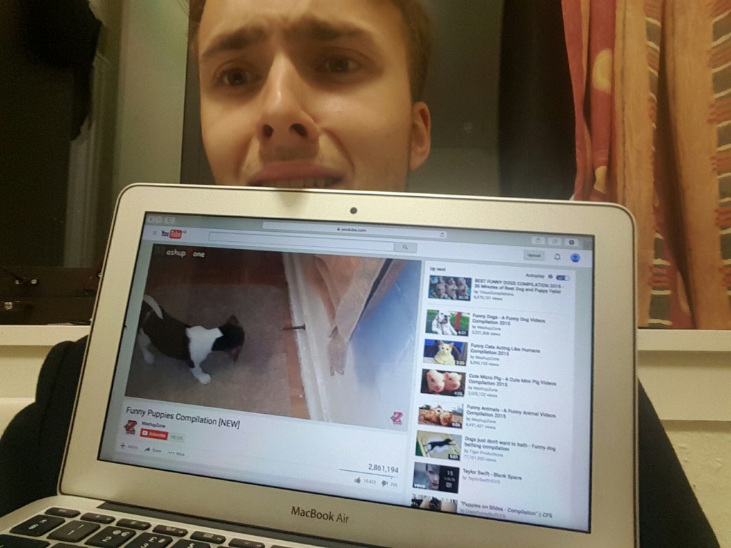 Not even cute puppy videos can make it all better
