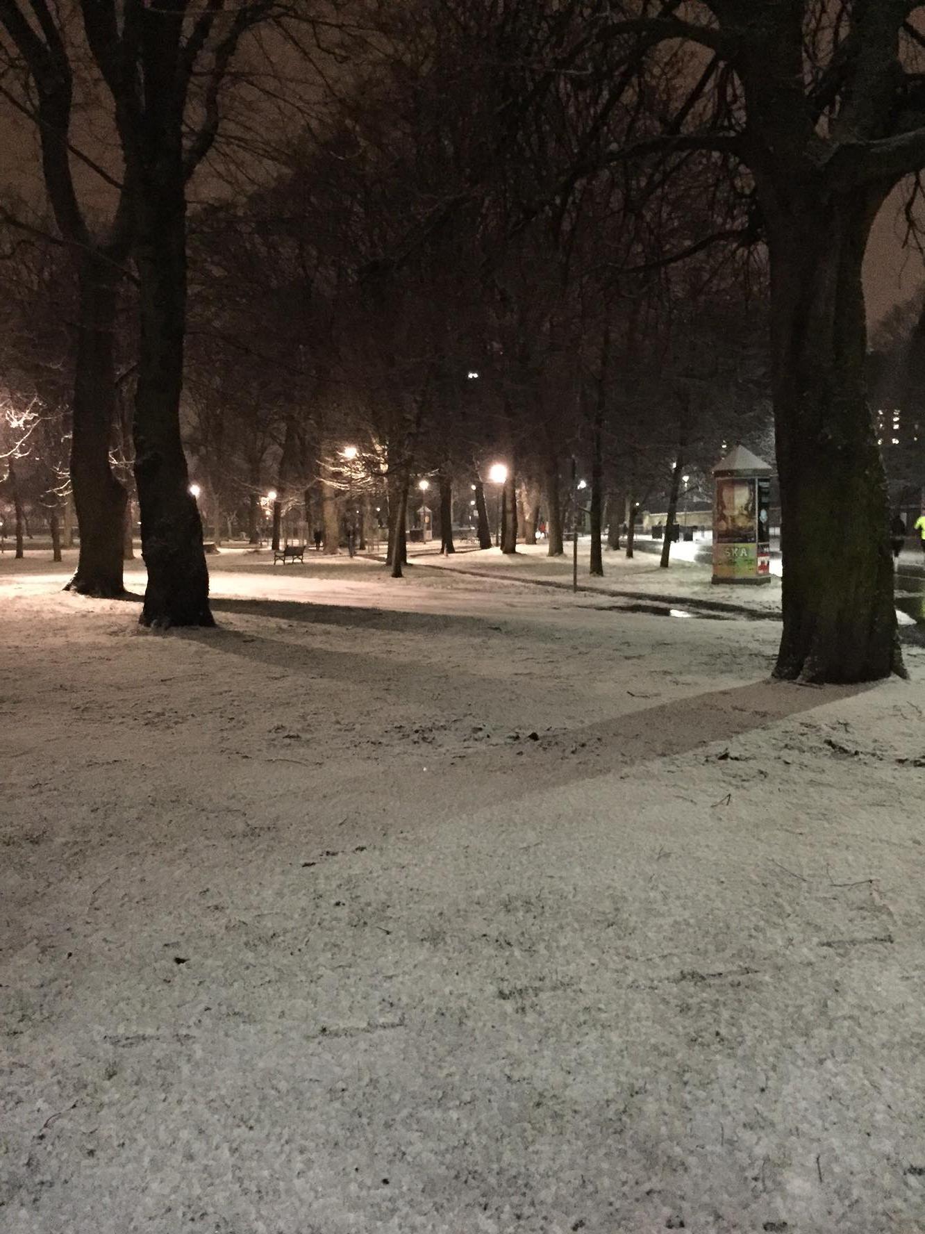 MORE MEADOWS SNOW