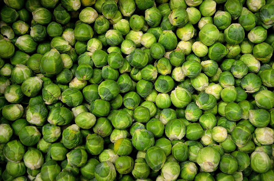 brussels-sprouts-22009_960_720