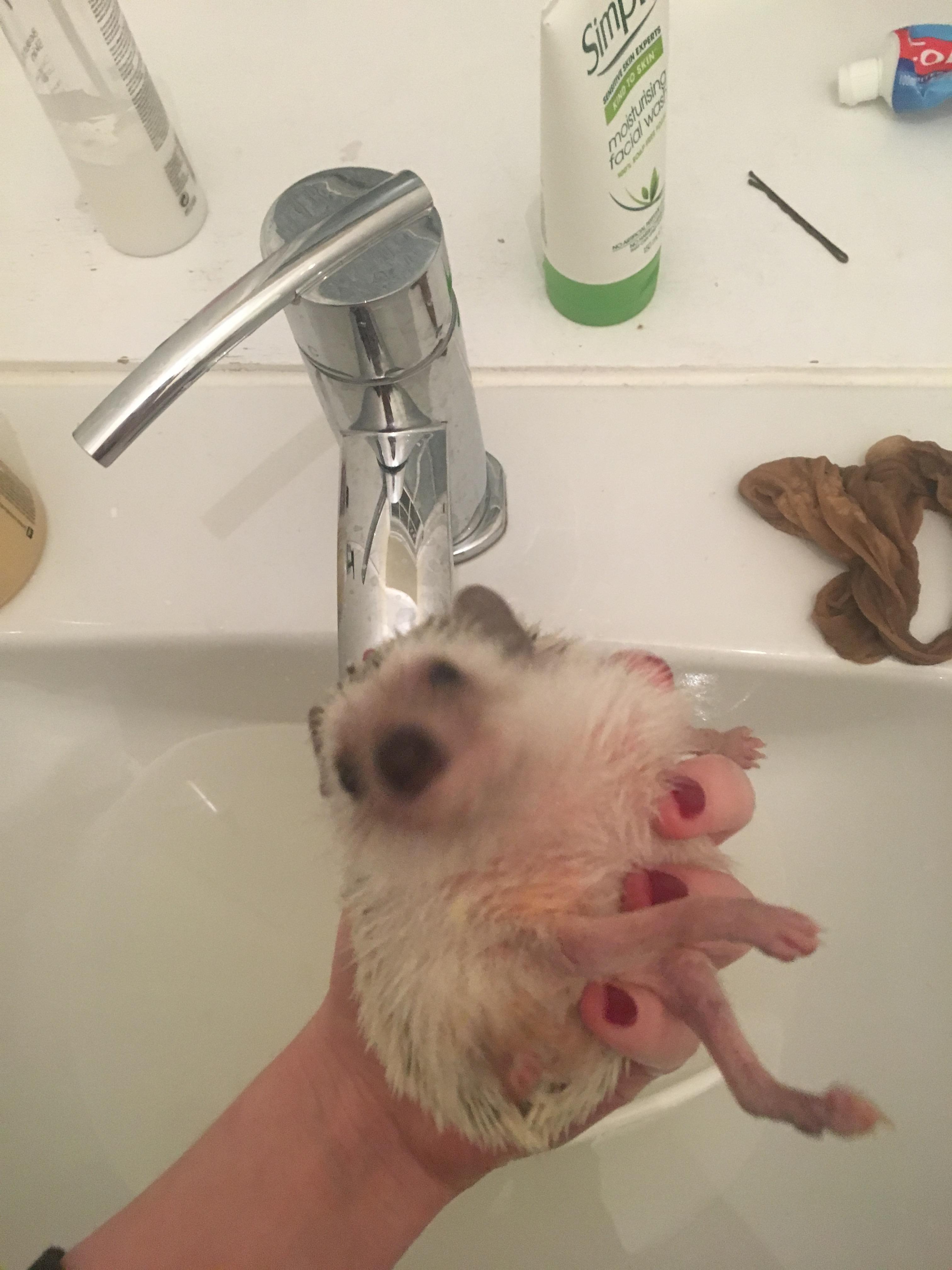 as unhappy as Alby was during this bath