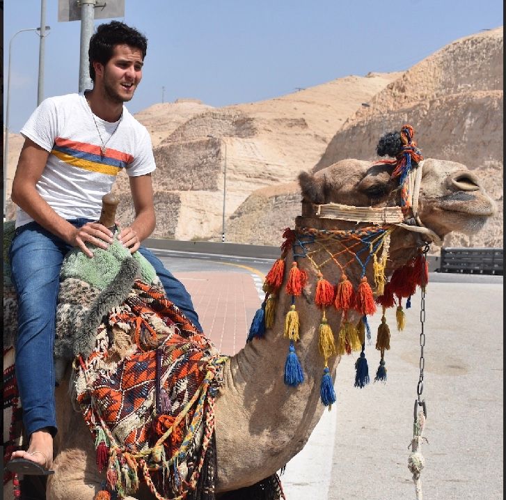 Image may contain: Mammal, Camel, Animal, Person, People, Human
