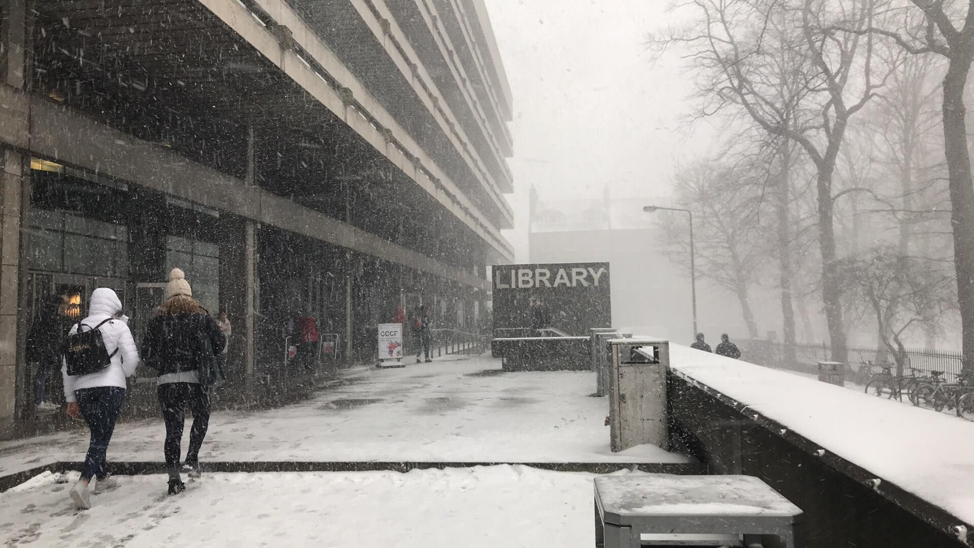 Image may contain: Winter, Weather, Storm, Snow, Outdoors, Nature, Blizzard, Person, People, Human