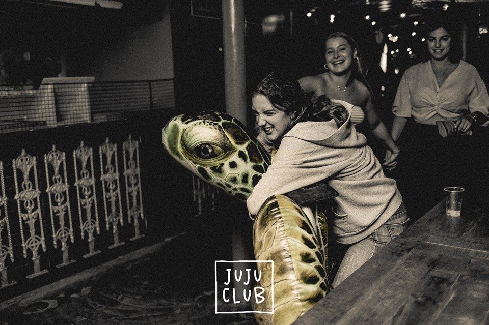 Image may contain: Turtle, Tortoise, Sea Life, Reptile, Animal, Poster, Paper, Flyer, Brochure, Drink, Beverage, Alcohol, Person, People, Human