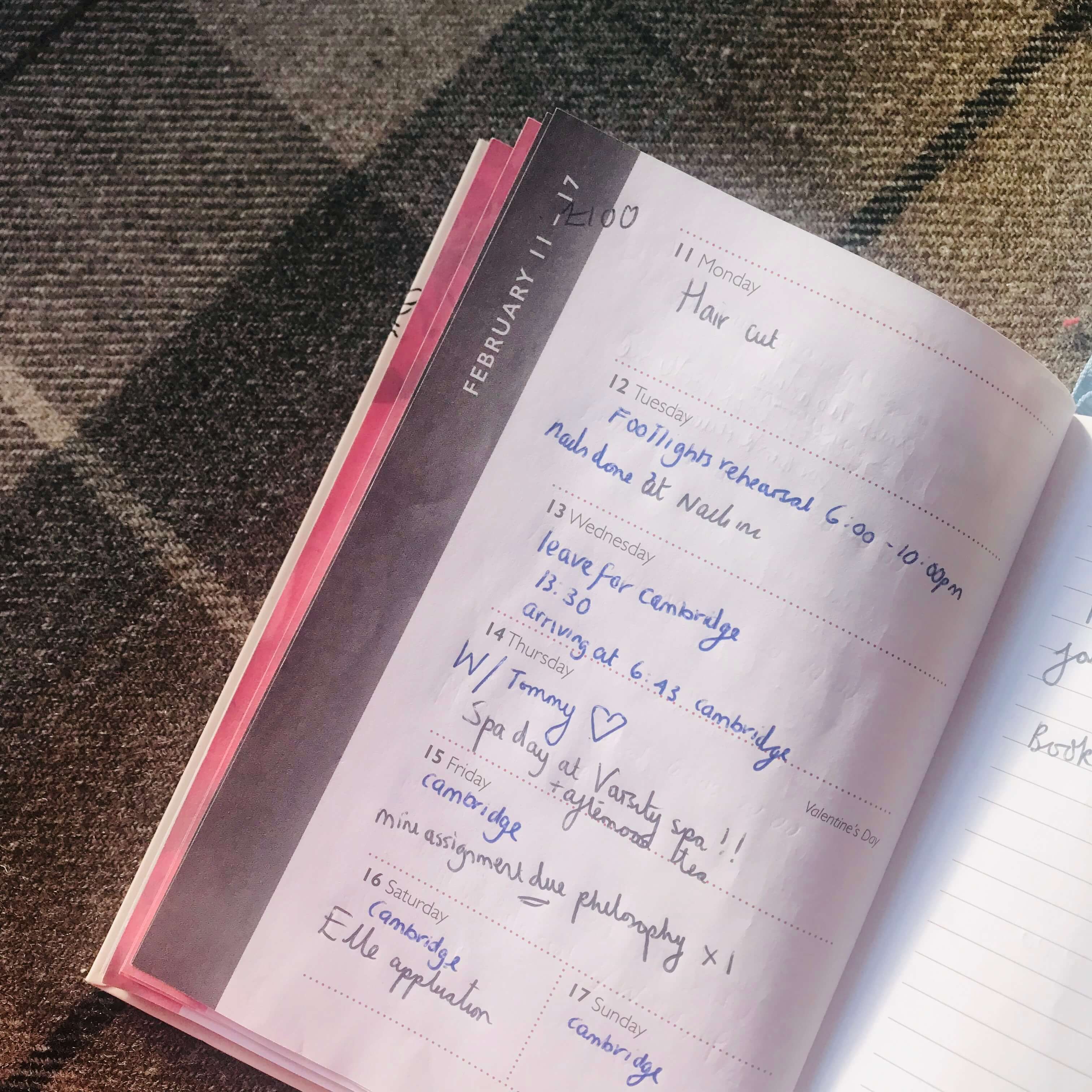Image may contain: Page, Diary, Text, Book