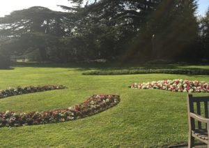 Walks around the park can be engaging