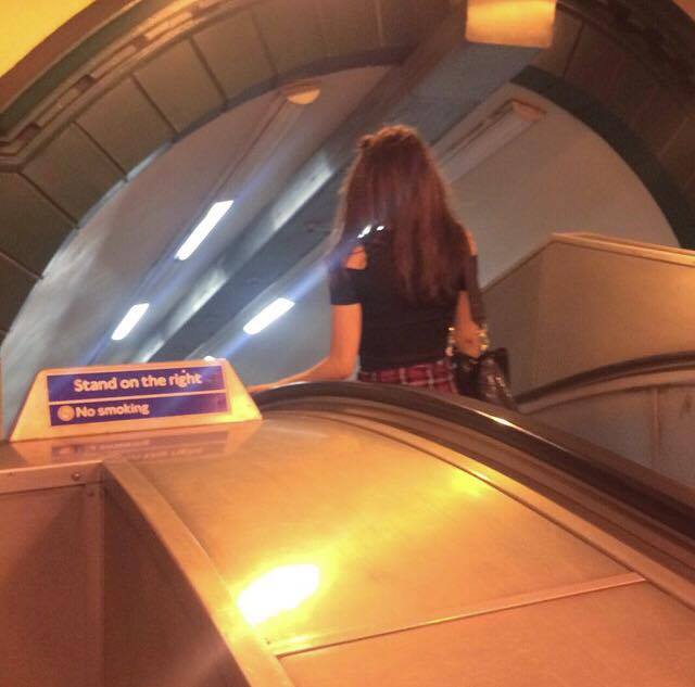 13871932_155322994891193_90679987_n