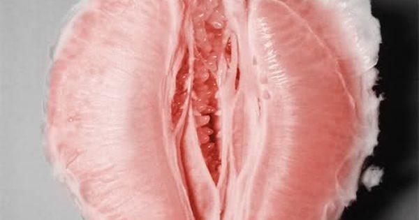 grapefruit-vagina (1)