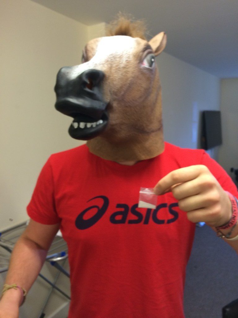 horse-768x1024