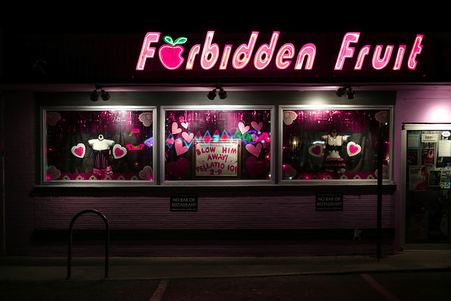 A sex shop (not the proposed London cafe)