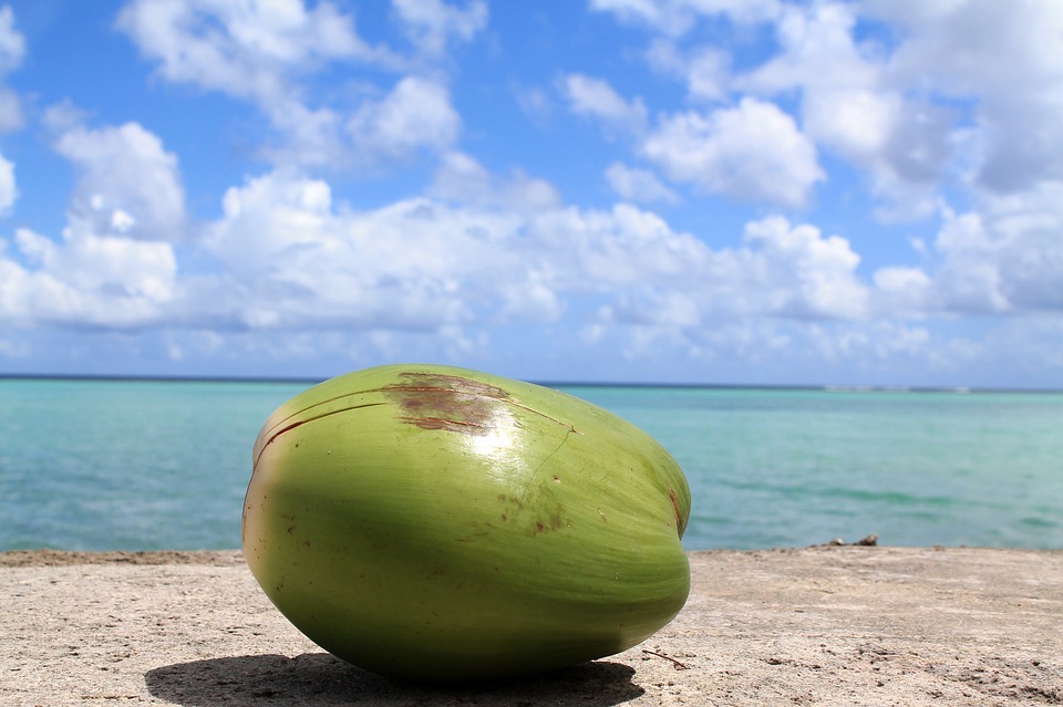 coconut23
