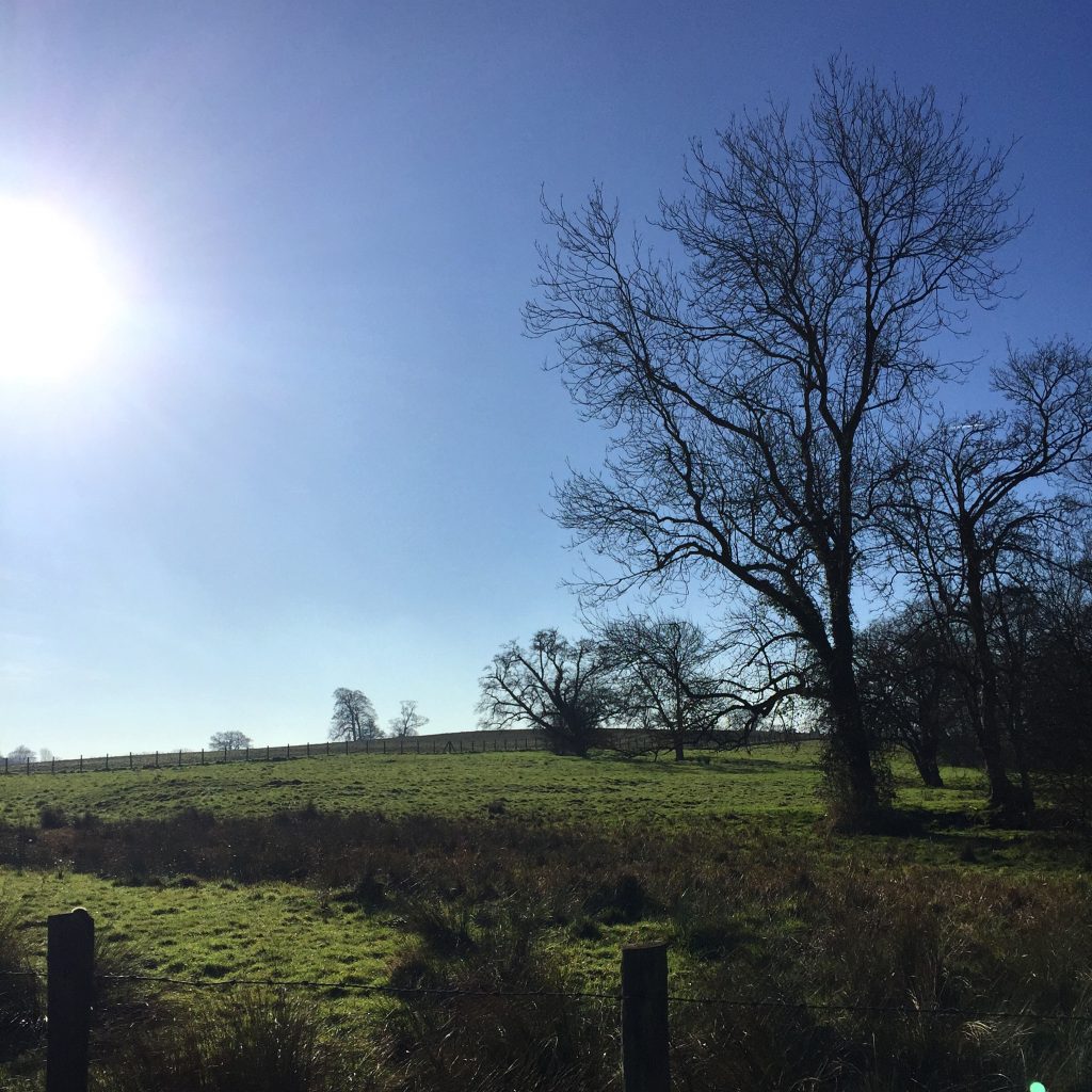 Enjoy a scenic shot of Hitchin fields to make up for the lack of Osinkskys evidence