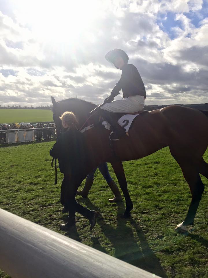 racing horse