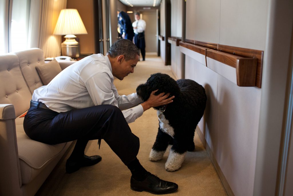 obama_and_bo_on_airforce_one