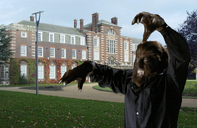 hull