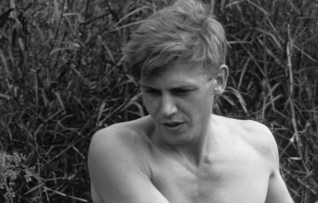young David Attenborough