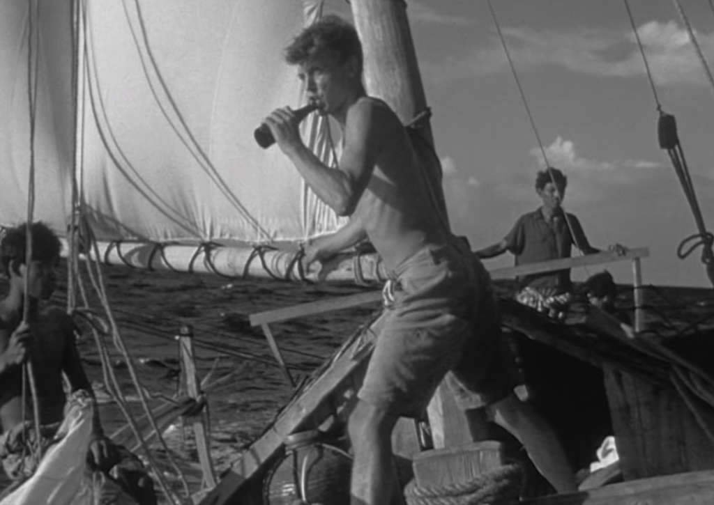 young David Attenborough