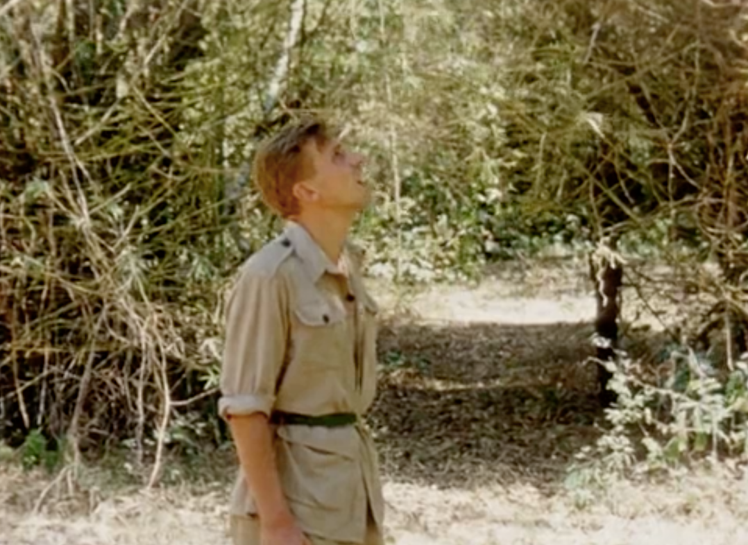 young David Attenborough
