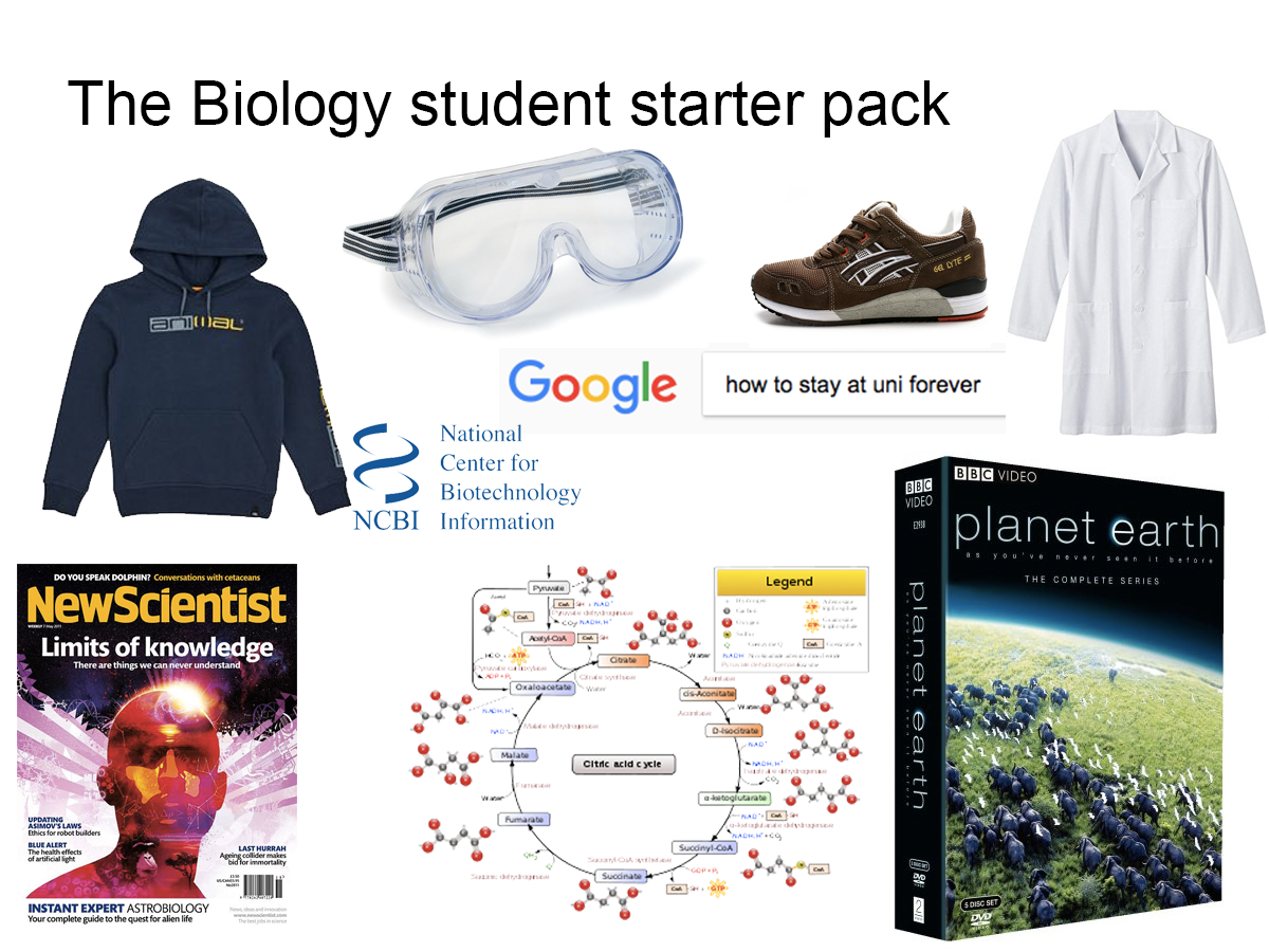 Image may contain: Paper, Sweater, Jacket, Fruit, Blueberry, Sweatshirt, Hoodie, Hood, Clothing, Lab Coat, Coat, Poster, Flyer, Brochure, Human, Person, People