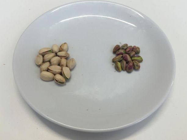 Image may contain: Spice, Seed, Nut, Grain, Almond, Seashell, Sea Life, Invertebrate, Clam, Animal, Vegetable, Produce, Plant, Flora, Bean, Plate, Meal, Food, Dish